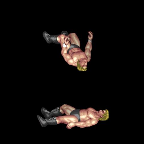 Reaction Moonsault Fall