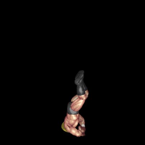 Top Rope Corkscrew Moonsault