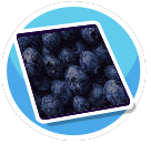 Blueberry Carpet