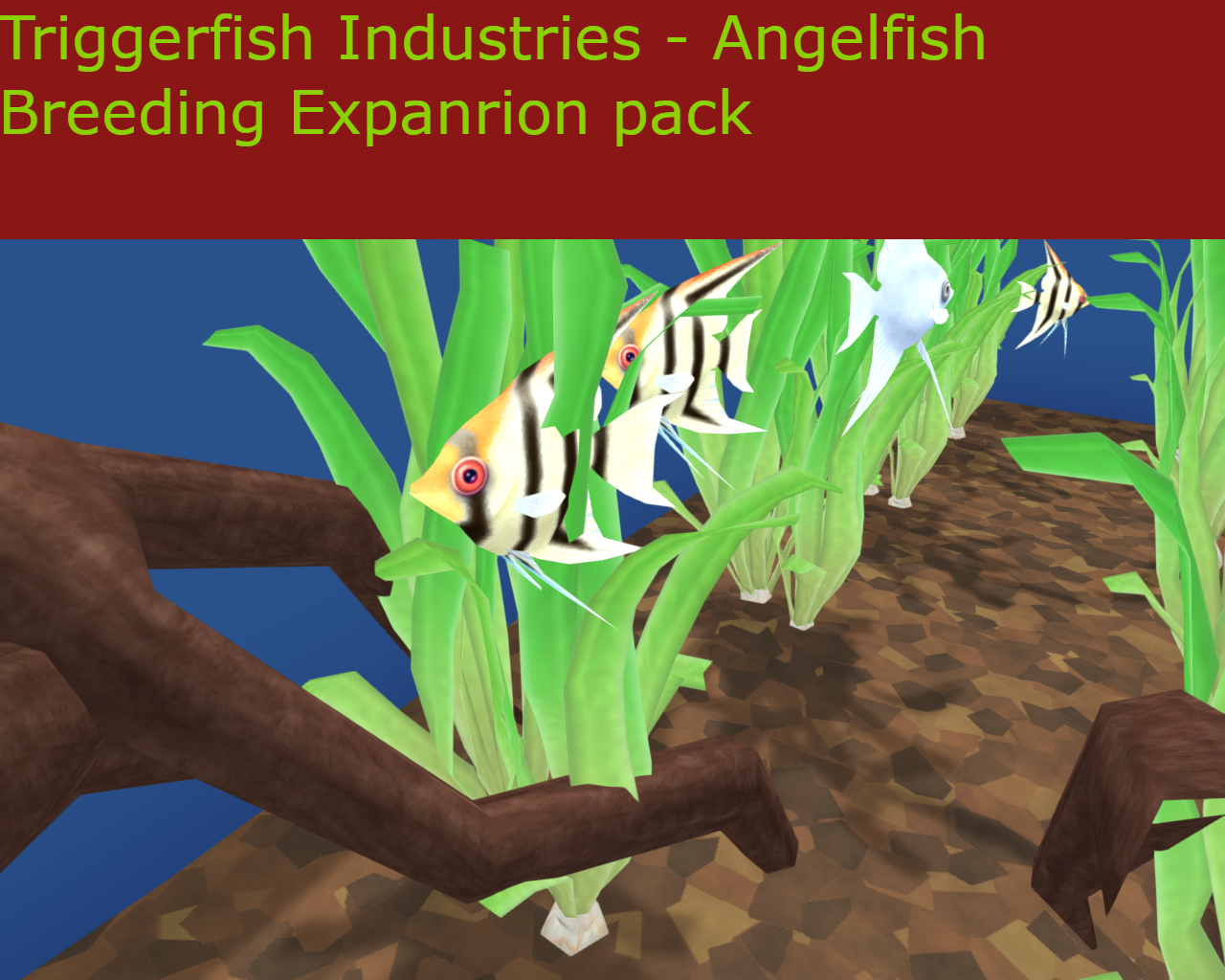 Triggerfish Industries - Freshwater Angelfish Expansion Pack