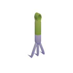 Hand Rake