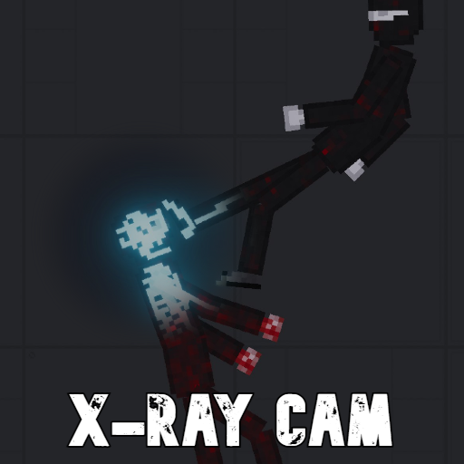 X-Ray Cam