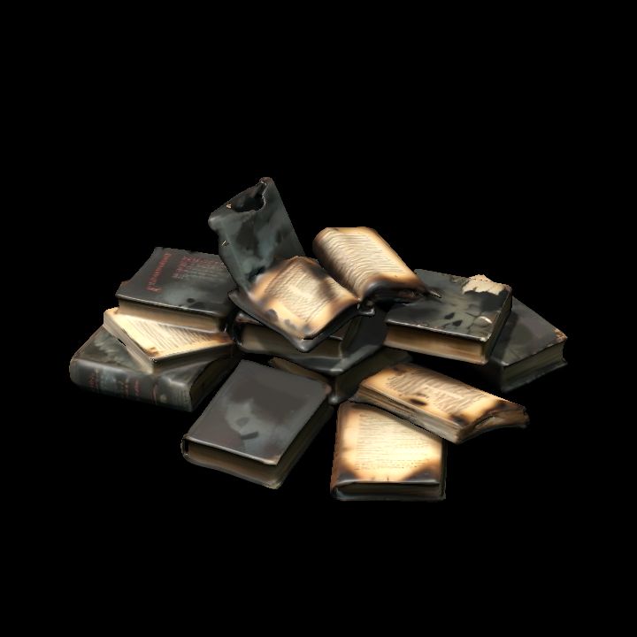 Burned books pile 2