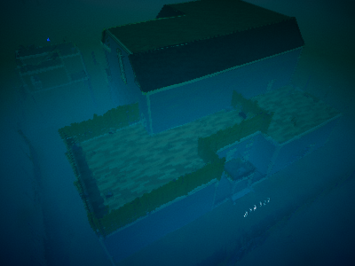 The new house