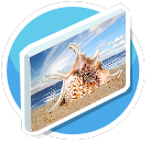 Sea Shell on Beach 1 preview