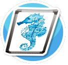 Seahorse 4 preview