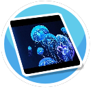 Jellyfish 2 Rug Std preview