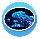 Jellyfish 2 Rug Round preview