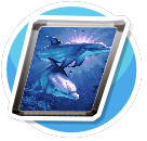 Dolphin 1 Poster preview