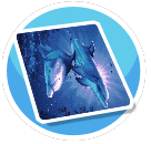 Dolphin 1 Rug preview
