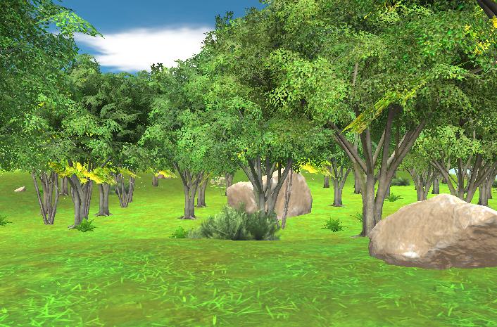 forest
