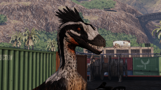 Falconet Novaraptor V2