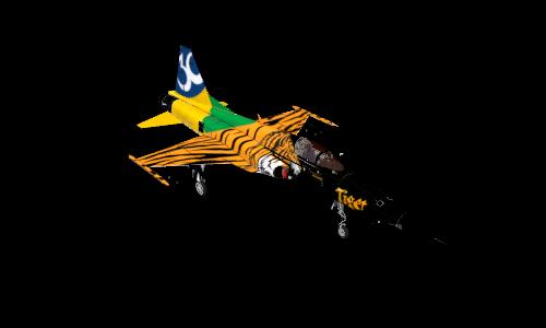 F-5 Tiger II FAB4846 (30 Years)