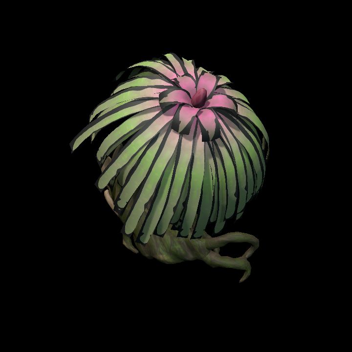 Fey_Plant (7)