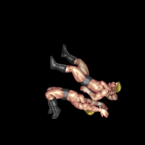 Half & Half Suplex Whip
