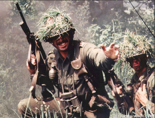 1980s Austrian Forces