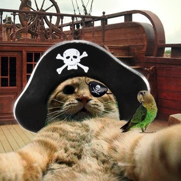 [1.5.1_RU] Cat in the hood