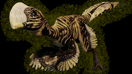 Psittacus Oviraptor