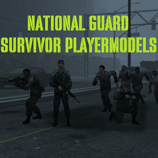 National Guard Survivor | PM