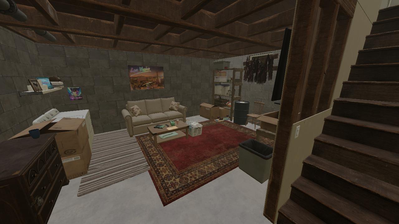 BASEMENT TRIP