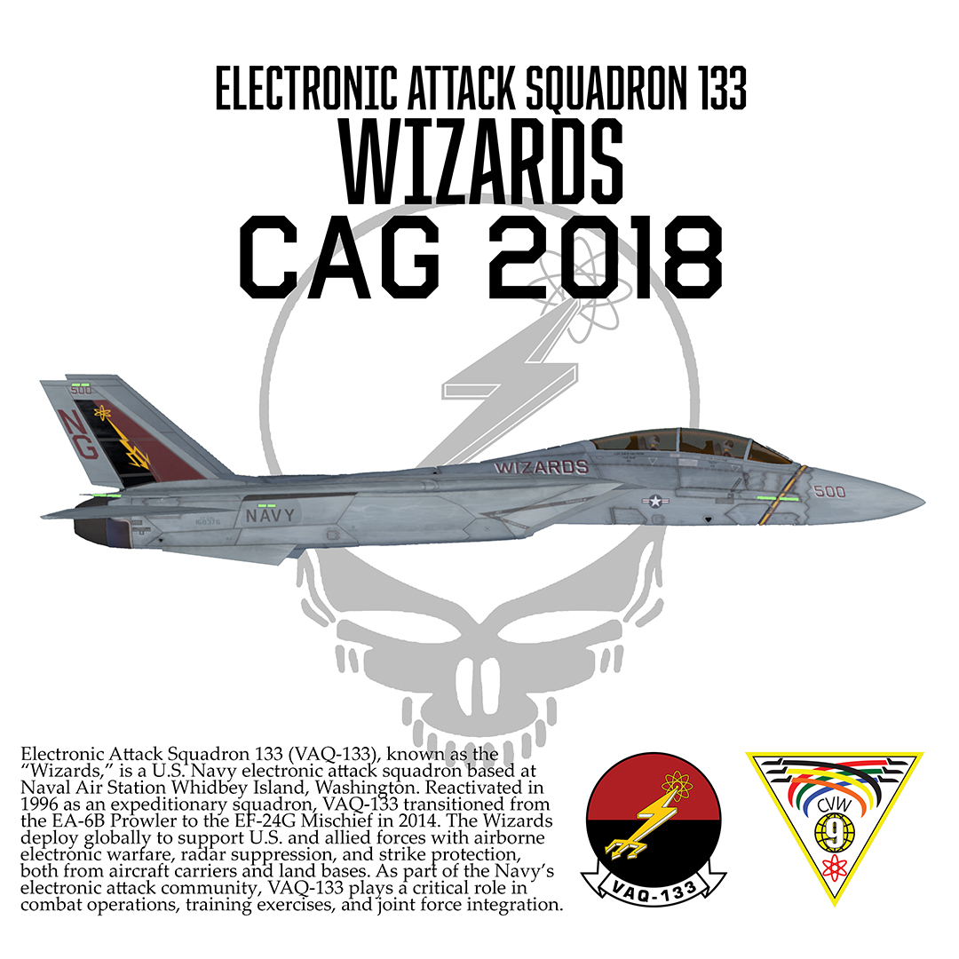 VAQ-133 'Wizards' CAG 2018