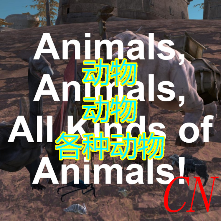 Animals, Animals, All Kinds of Animals CN/各种动物汉化
