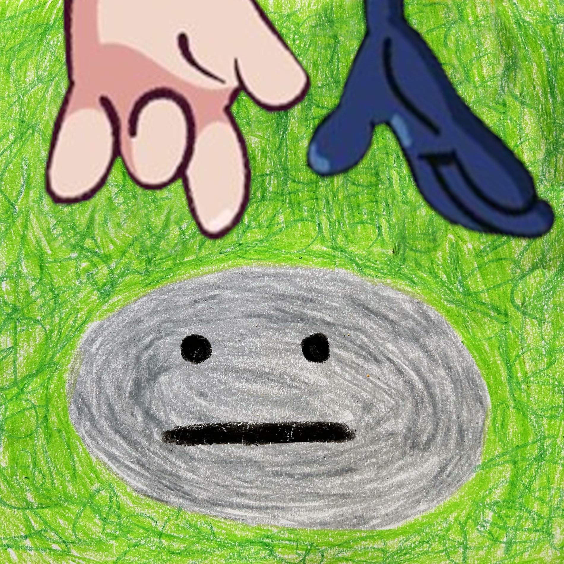 Dear Pet Rock - tv room