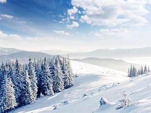 Snow by Connor