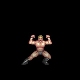 Shawn Michaels Taunt / ショーン・マイケルズ・ポーズ