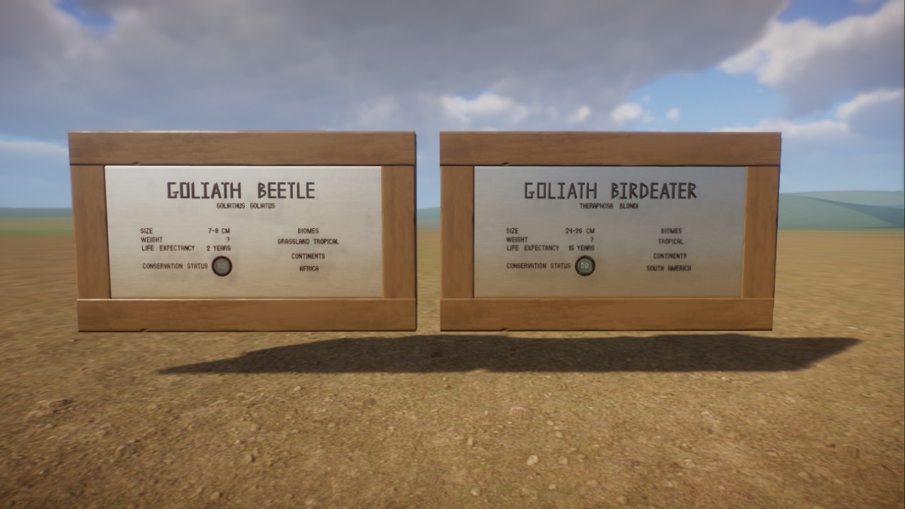 Goliath Beetle and Goliath birdeater