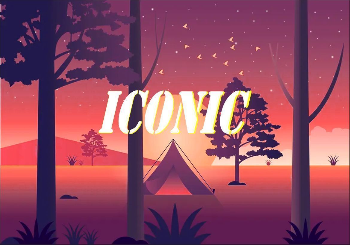 Iconic Server Pack Customs Test