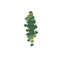 Vine Wall A