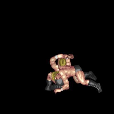 Shoot Hammerlock Takedown