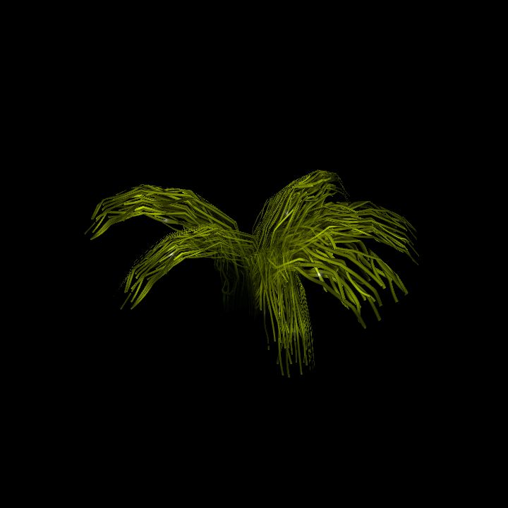 SwampTussocksSmallE_2