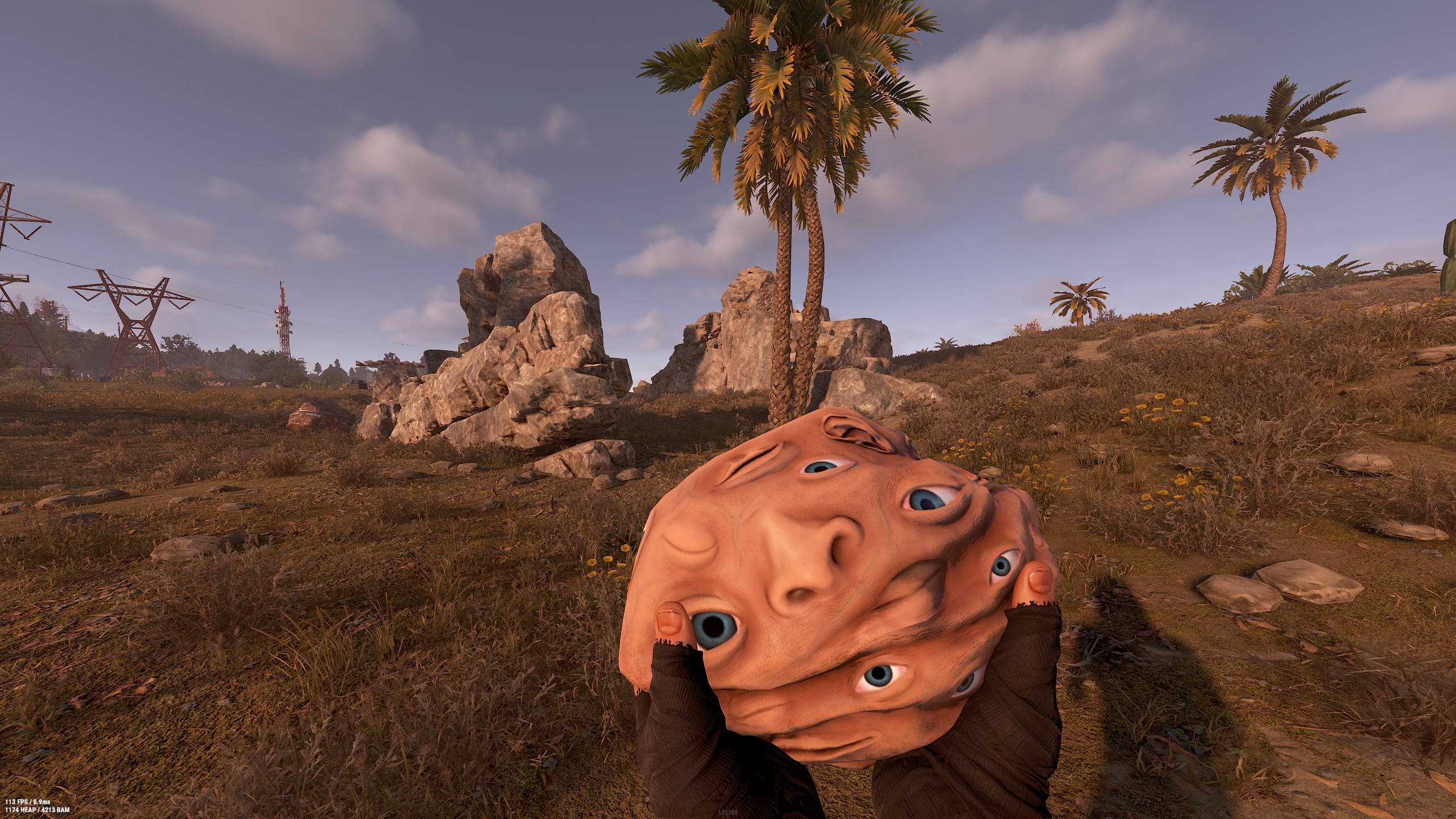 That Thing Rock