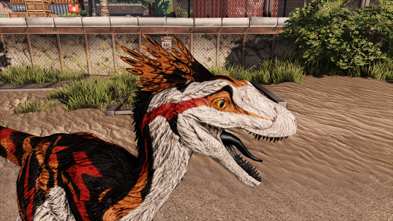 Loriby Novaraptor [Free Drop]