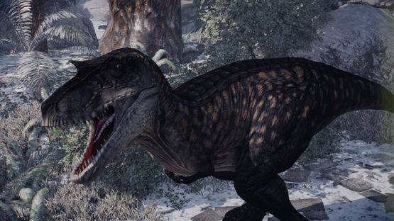 Krom Albertus Rex V3 (FINAL UPLOAD)