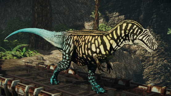 Spotted Blue Tailed Acro [Easter 2021]