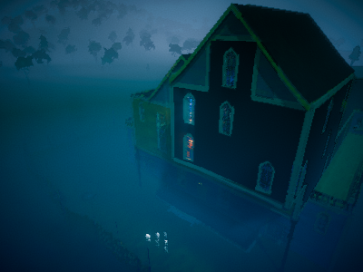 Crazzy house