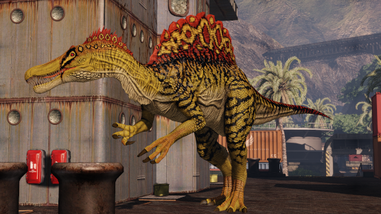 Sun Fire Spino