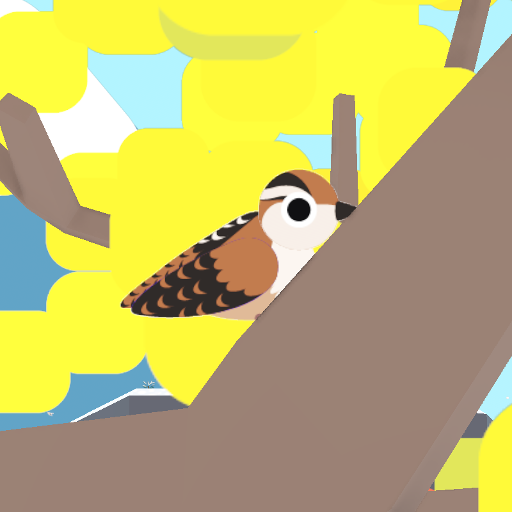 Marsh Wren