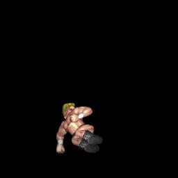 Missile Dropkick