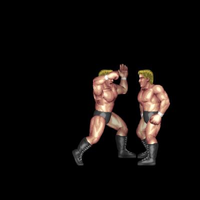 Sabu's Punch