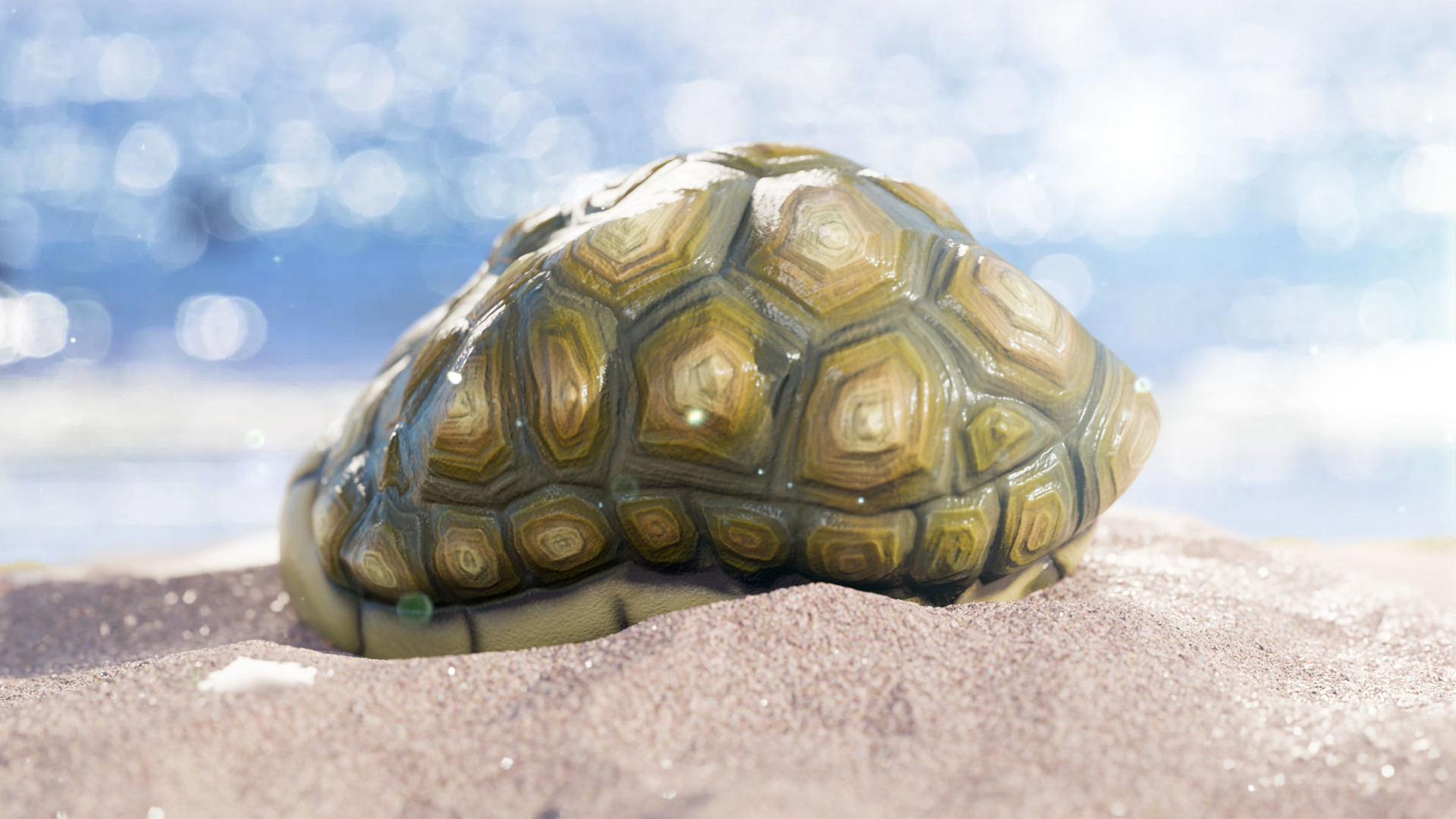 Tortoise Rock screenshot 1