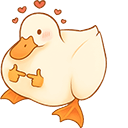 Shy Duck