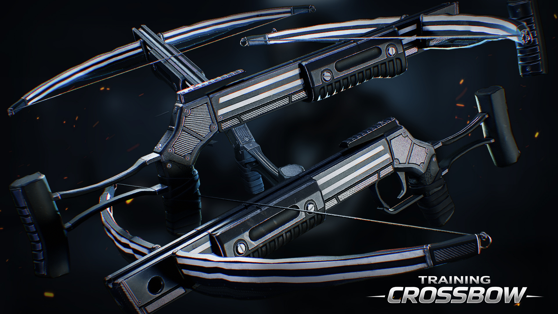 Training Crossbow