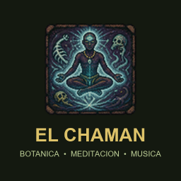 El Chaman [B42]