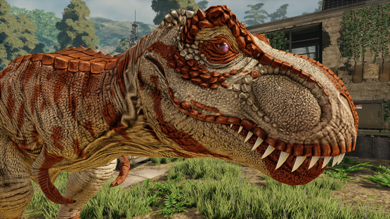 Nasicus Rex
