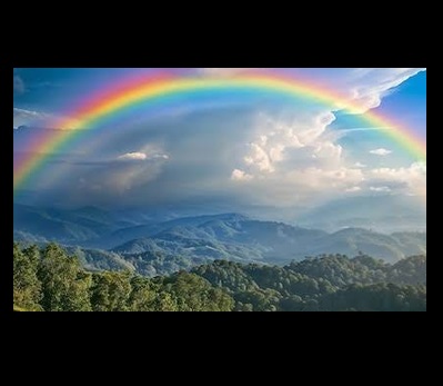 ·.· The Hallows Rainforest preview