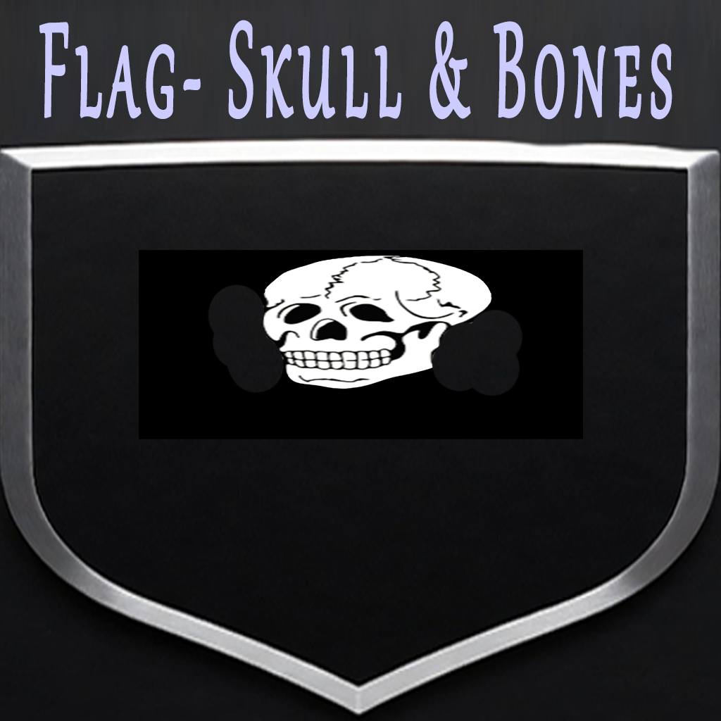 flag Skull & Bones v2
